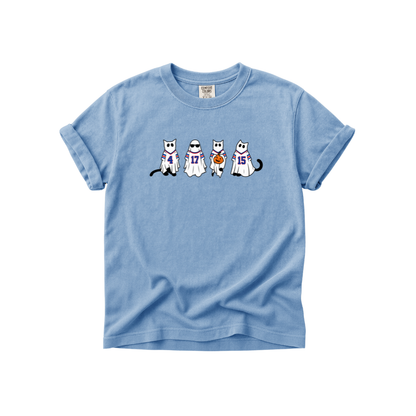 Buffalo Ghost Cats