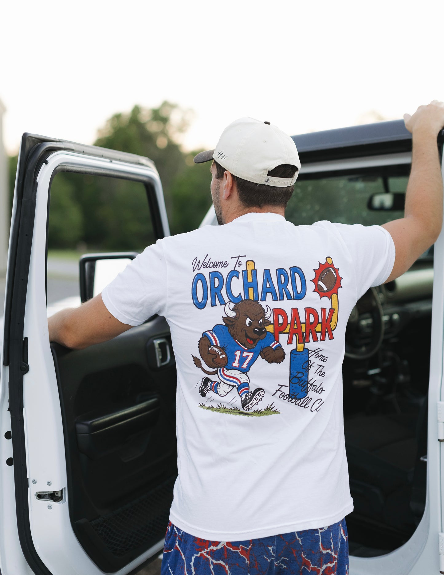 Welcome To Orchard Park