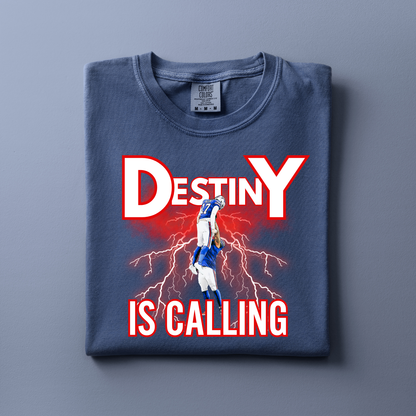 Destiny Is Calling